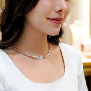 NCI004-RG-Fashion