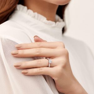 ABM008-WG-6