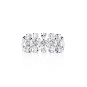 ACF009_WG_1
