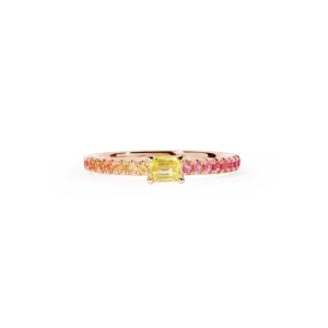 ACS031-SM01_RG_1